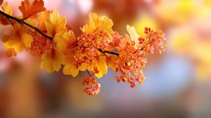 Obraz premium Vibrant Orange and Yellow Blossom Branch Against Soft Focused Autumn Background