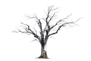 A striking dead tree stands tall, its bare branches against a bright background.