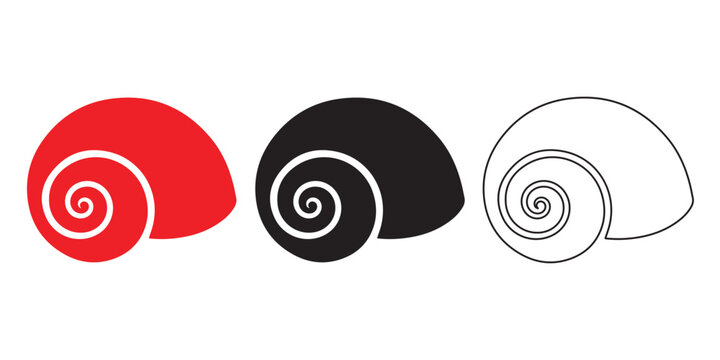 Shells in Harmony: The image showcases three diverse shell designs, each offering a unique perspective, from vibrant color to a minimalist outline. A captivating exploration of form and design.