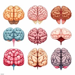 Collection of Colorful Brain Illustrations for Medical and Educational Purposes, Concepts