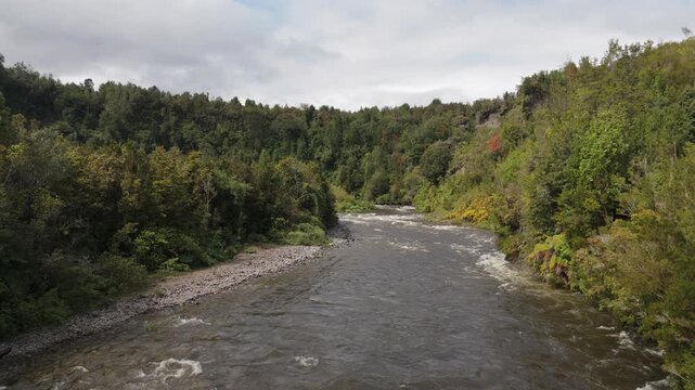 Smooth Drone Shot Between Trees at Mountain River Mouth