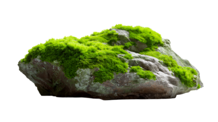 Solid rock formation abundantly covered with vibrant green moss and lush plant growth provides a powerful natural element for environmental projects and botanical themes