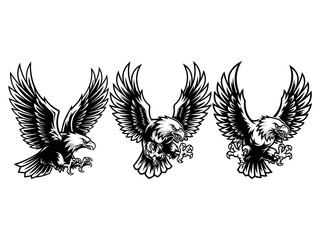 Eagle Mascot for Sport Logo