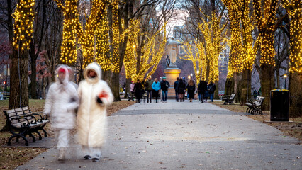 The iconic Commonwealth Avenue in Boston with its famous Christmas lights at night.