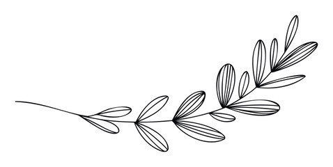 Graceful minimalist botanical branch line drawing perfect for elegant wedding invitations greeting cards branding and natural decor projects