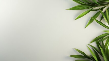 Vibrant green foliage on pristine white background fresh botanical display nature's beauty healthy plant life organic essence.