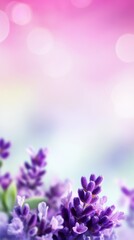 Vibrant purple lavender flowers blooming in soft focus field evoking serenity and natural beauty.