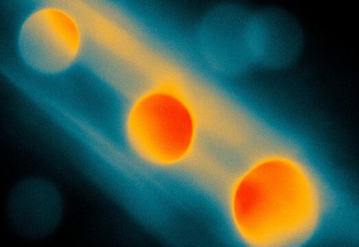 Macro view of three glowing orange circular particles aligned diagonally across a deep blue background, resembling fluorescent cells for science, education, and research visuals.