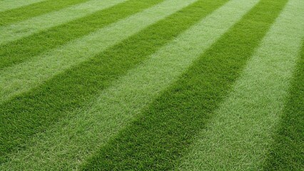 Freshly mown green grass lawn with alternating light and dark stripes from mowing