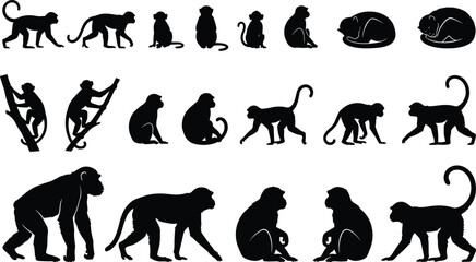 Black monkey silhouette collection in various poses including walking sitting climbing and sleeping, wild jungle animal vector illustration set © MstParul
