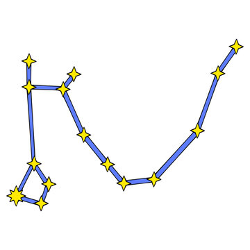 Draco constellation illustration hand drawn isolated vector