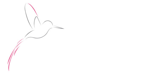 minimalism abstract modern logo design line art drawing vector bird fly animal wildlife  outline graphic design hummingbird sketch © Sofia Rohimah