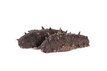 Raw sea cucumber trepang isolated on white background
