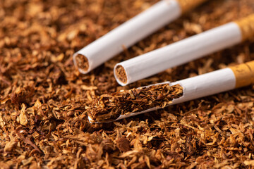 finely crushed tobacco leaves that is used in the manufacture of cigarettes