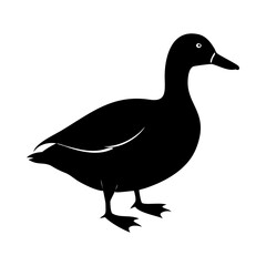 A mallard duck icon bold outline vector illustration design