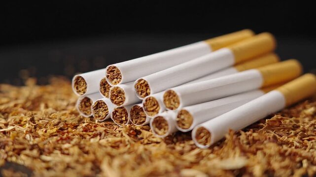 finely crushed tobacco leaves that is used in the manufacture of cigarettes