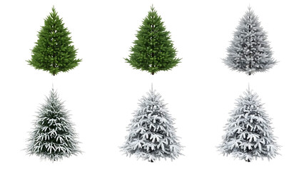 Collection of christmas trees in different seasons and conditions isolated on transparent background
