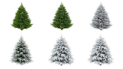 Collection of christmas trees in different seasons and conditions isolated on transparent background