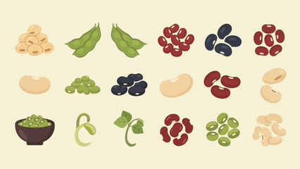 様々な種類の豆のイラスト集：大豆、枝豆、インゲン豆、黒豆、小豆、レンズ豆、ひよこ豆、そら豆、カシューナッツなど. © renender