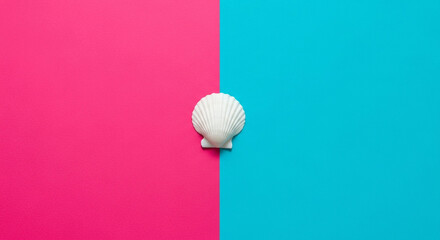 Minimalist Top View of a White Scallop Seashell Centered on a Split Pink and Blue Background