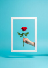 Surreal Minimalist Image of a Hand Holding a Red Rose Passing Through a White Picture Frame