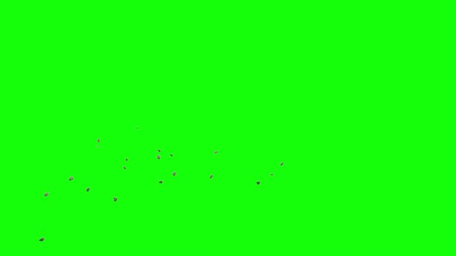 Tiny debris particles lightly scattered across the lower area on green screen background. Chroma key animation element suitable for subtle VFX compositing, motion graphics, and video editing.