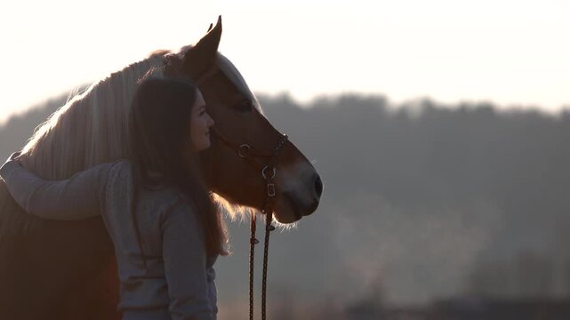 Young woman gently cuddling and interacting with her Haflinger mare, showing trust, affection and calm horse human bond