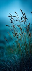 Delicate Reeds Swaying Gracefully in a Mystical Blue Misty Landscape at Dawn in Nature's Calm Embrace