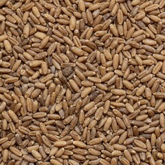 A close-up view of mixed raw cereal grains forming a dense, uniform, earthy, and highly textured natural food backdrop for design use, heap, maize, surface