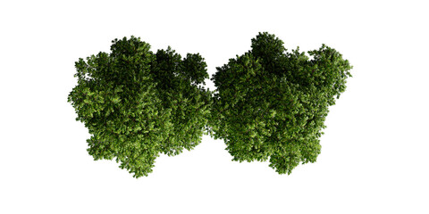 Top View of Lush Green Trees – Natural Canopy Texture for Landscape and Environmental Design" © pngtree