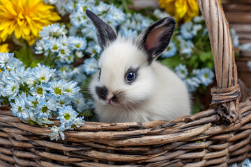a small white rabbit sitting in a basket with flowers