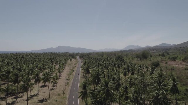 landscape at the Nusa Tenggara Timur