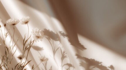 A Serene Arrangement of Delicate Flowers Cast Against Soft Shadows on a Warm Background