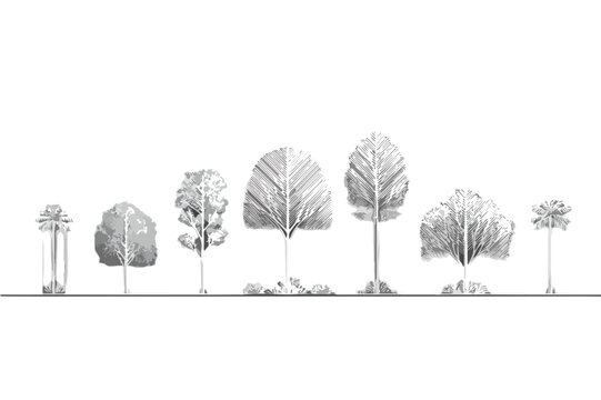 Illustrazione vettoriale in bianco e nero di una collezione di sagome di alberi diversi su sfondo trasparente.