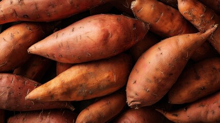 A collection of sweet potatoes is arranged in a market. Their rough skin and various shapes create an interesting display. These tubers are ready for purchase and use in cooking.