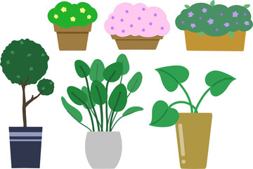 화분_식물_식집사_꽃