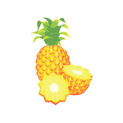 Make a Professional Pineapple Vector