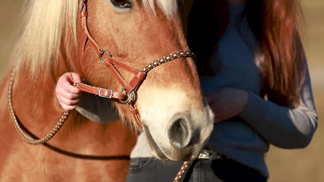 Young woman shows how a sidepull works by softly guiding a horse left and right, demonstrating horse friendly horsemanship