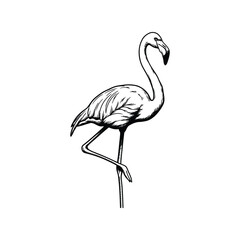 Fototapeta premium Elegant black and white flamingo illustration Vector
