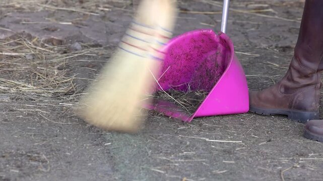Close-up video of a stable aisle being swept clean with broom and dustpan, focus on daily stable work, no person visible