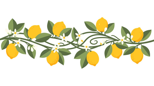 Decorative lemon vine border illustration with ripe yellow fruits, green leaves, and white blossoms. Fresh citrus design element.