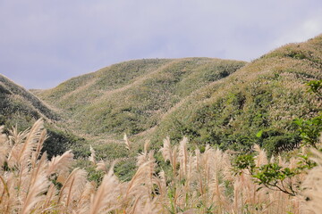 Mountain views of Jinguashi and Jiufen area a popular tourist destination in Taipei Taiwan