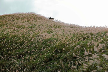 Mountain views of Jinguashi and Jiufen area a popular tourist destination in Taipei Taiwan