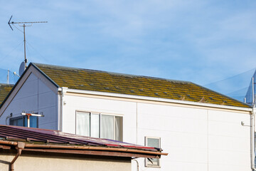苔や雑草が生え補修が必要な戸建て住宅の屋根