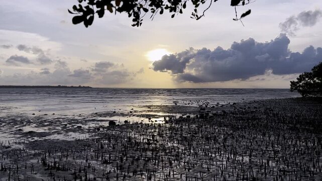 Golden sunset over tidal flats and mangroves at Nightcliff, Darwin Northern Territory, Australia