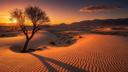 Serene desert landscape during sunset with solitary tree and rolling sand dunes