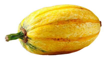 Vibrant yellow squash with green stem on black background