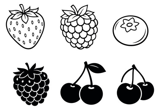Outline and silhouette fruit icon set featuring strawberries, raspberries, blueberries, and cherries for healthy eating design - Powered by Adobe