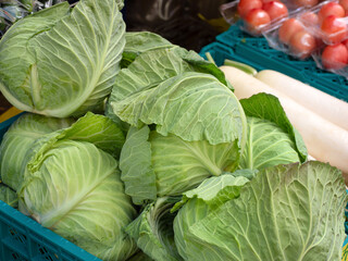 店頭に並んだキャベツ