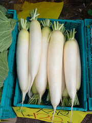 店頭に並んだ大根